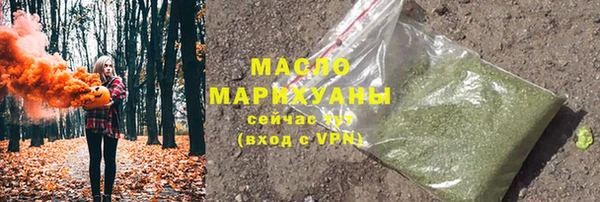 МДПВ Елабуга