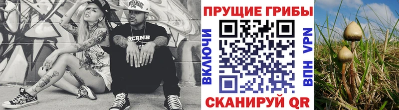 наркошоп  Купино  Галлюциногенные грибы мицелий 